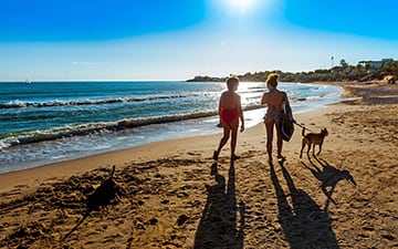 Urlaub mit Haustieren